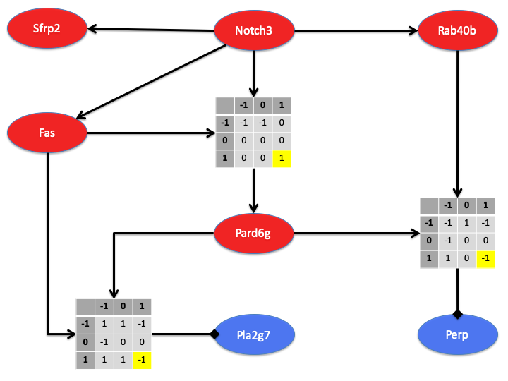 network modeling thesis