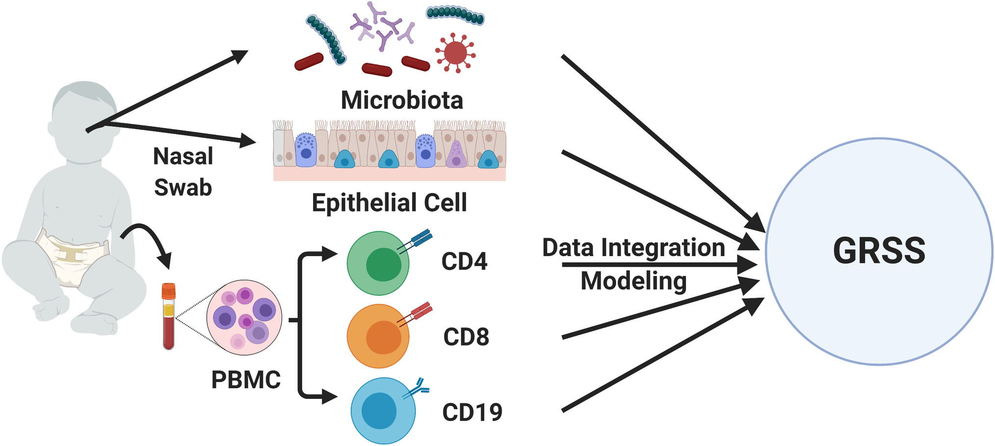 A systems genomics approach uncovers molecular associates of RSV severity