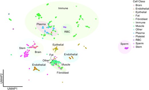 A curated human cellular microRNAome based on 196 primary cell types