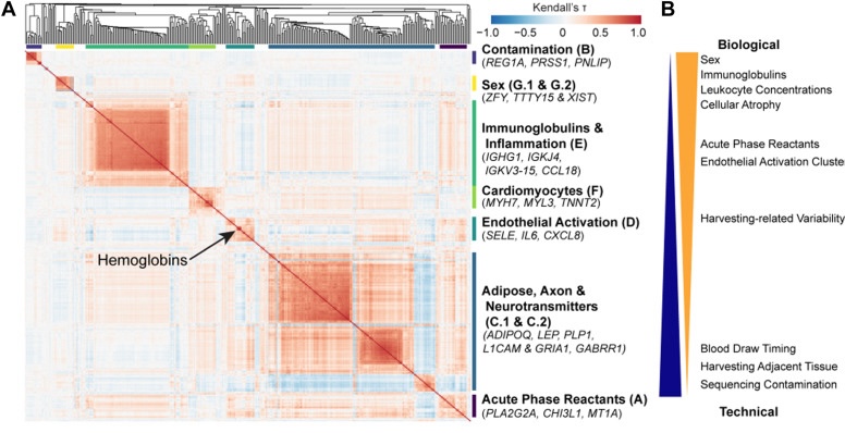 Patterns of Unwanted Biological and Technical Expression Variation Among 49 Human Tissues