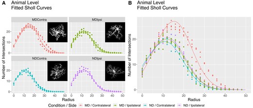 A model-based hierarchical Bayesian approach to Sholl analysis